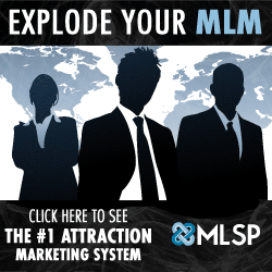 Online Leads With MLSP